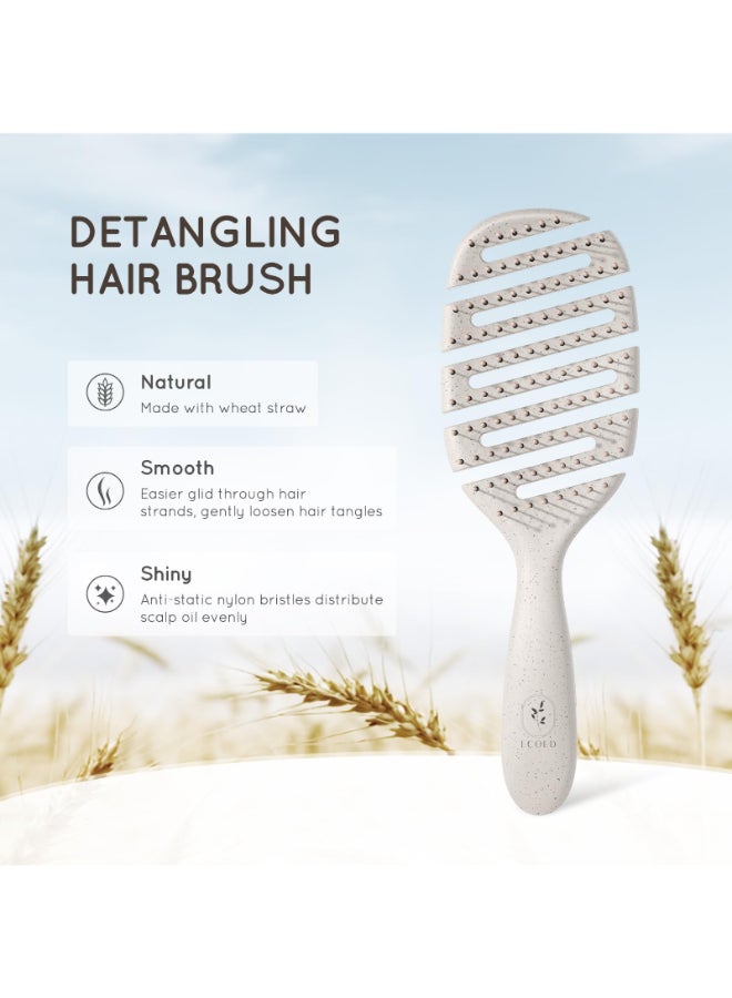 ecoed Detangler Hairbrush Soft Bristle Detangling Brush for Straight WavyCurly and Fine Hair Dry and Wet Quick Smoothing for Women and Men EcoFriendly Sustainable Material Natural - Image 4