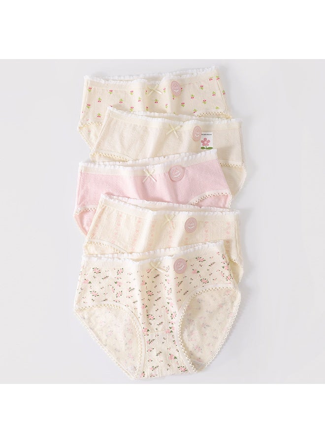 KUYING New Comfortable Skin friendly Breathable Underwear Set of 5  - Image 1