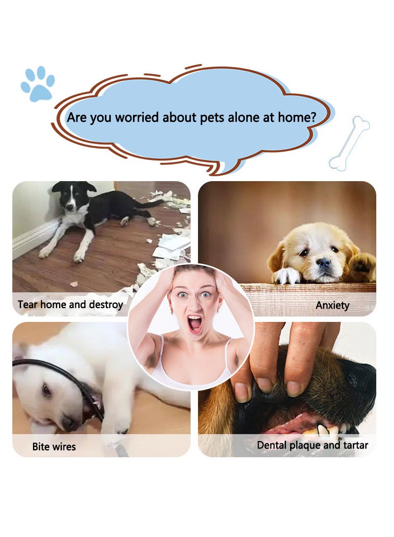 كيدل مجموعة ألعاب الكلاب الأليفة المكونة من 16 قطعة - Image 3