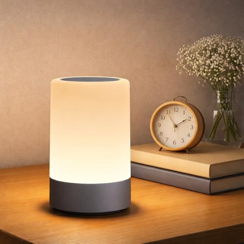 Niwlix Plastic Touch Control LED Table Lamp Night Light for Bedroom Rechargeable Brightness Adjustable Dimmable for Bedroom, Living Room, Study, Multicolour - Image 1
