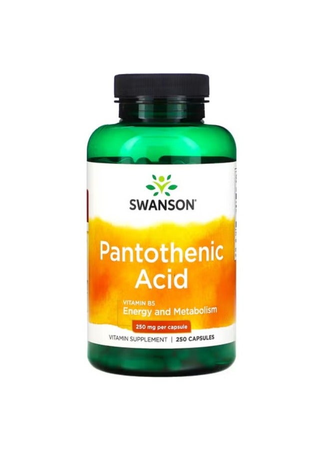 SWANSON Pantothenic Acid 500 mg 250 Capsules