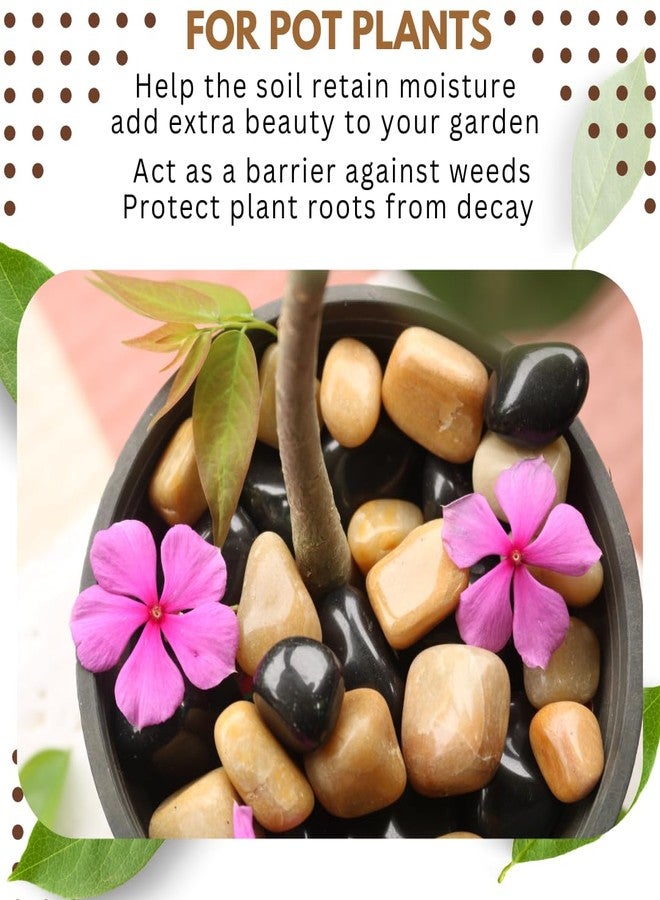 Wowtag Brown and Black Combo Polished Natural Pebbles, 2-4 CM,1.95 KG, Decorative Stone for Plants, Aquarium, Garden, Vase Filler, Resin Work - Image 3