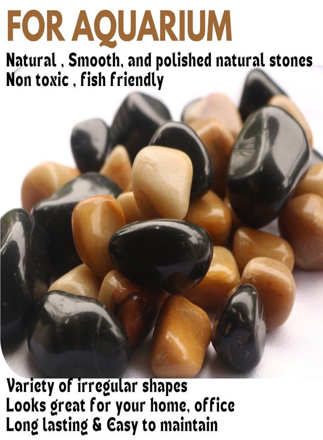 Wowtag Brown and Black Combo Polished Natural Pebbles, 2-4 CM,1.95 KG, Decorative Stone for Plants, Aquarium, Garden, Vase Filler, Resin Work - Image 2