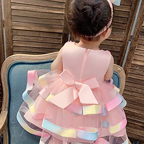 AIMJCHLD Christening Embroidery Lace Birthday Christmas Easter Flower Toddler Baby Girl Dress Princess Formal Prom Tutu Ball Gown 6M 12M Pink 80 - Image 3