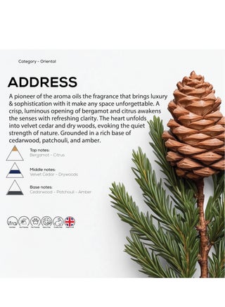 Dr Scent Breeze of Joy Diffuser Aroma Address – Velvet Cedar, Citrus, and Cedarwood Fragrance | Made in the UK (170ml) Perfect for Offices, Homes, Shops, Hotel Rooms & Small Lobbies - view 2