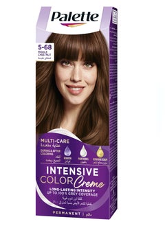 Palette LETTE HAIR COLOR 5-68 MIDDLE CHESTNUT 