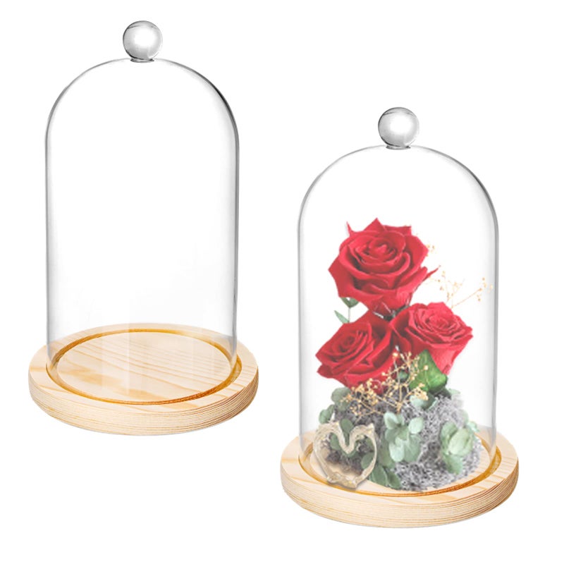 Lyellfe 2 Pack Glass Dome 8 x 5 Glass Dome Cloche with Rustic Wooden Base Bell Jar Display for Plants Fairy Lights or Table Decor