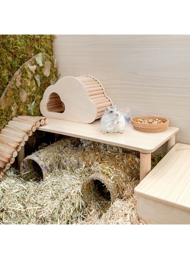 Niteangel Hamster Play Wooden Platform for Dwarf Syrian Hamsters Gerbils Mice Degus or Other Small Pets (Rectange - 7'' Height, Burlywood) - Image 2