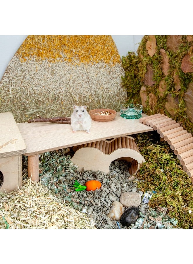 Niteangel Hamster Play Wooden Platform for Dwarf Syrian Hamsters Gerbils Mice Degus or Other Small Pets (Rectange - 7'' Height, Burlywood) - Image 3