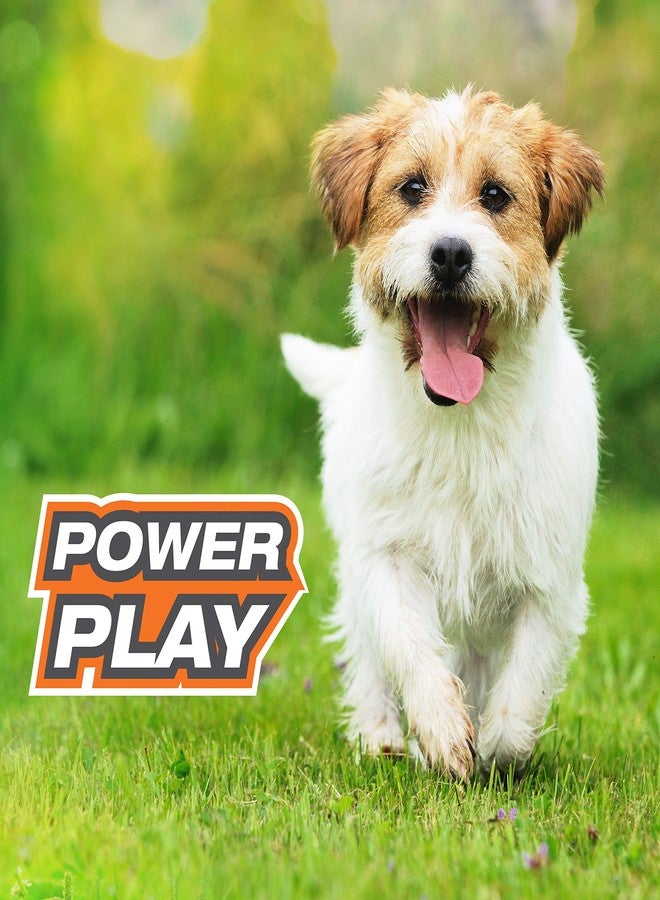 Nylabone Power Play Tennis Gripz Fetch Toy, Squeaky Tennis Ball Chew Toy for Dogs, Small (3 Count) - Image 5
