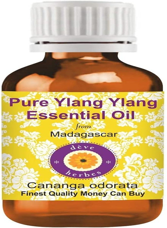 Deve Herbes Ylang Ylang Essential Oil (Cananga odorata) Pure | Non-Sticky | Non-greasy | Lightweight | Men & Women | All Skin Types | Steam Distilled 5ml - Image 2