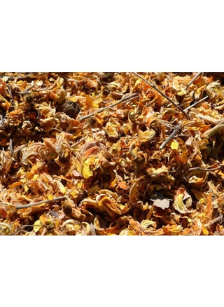 Dry TESU Flower/TESU K PHOOL/PALASH Flower / 100GM / /Butea Monosperma/DHAK K PHOOL / टेसू फूल / Flame of The Forest/Bengal Kino/PHOOL by DEV HERBALS - pzsku/Z41BDEAC3CC53FD3DA31EZ/45/1743748060/92916fe6-7c77-49ec-ad6f-566c984d69df