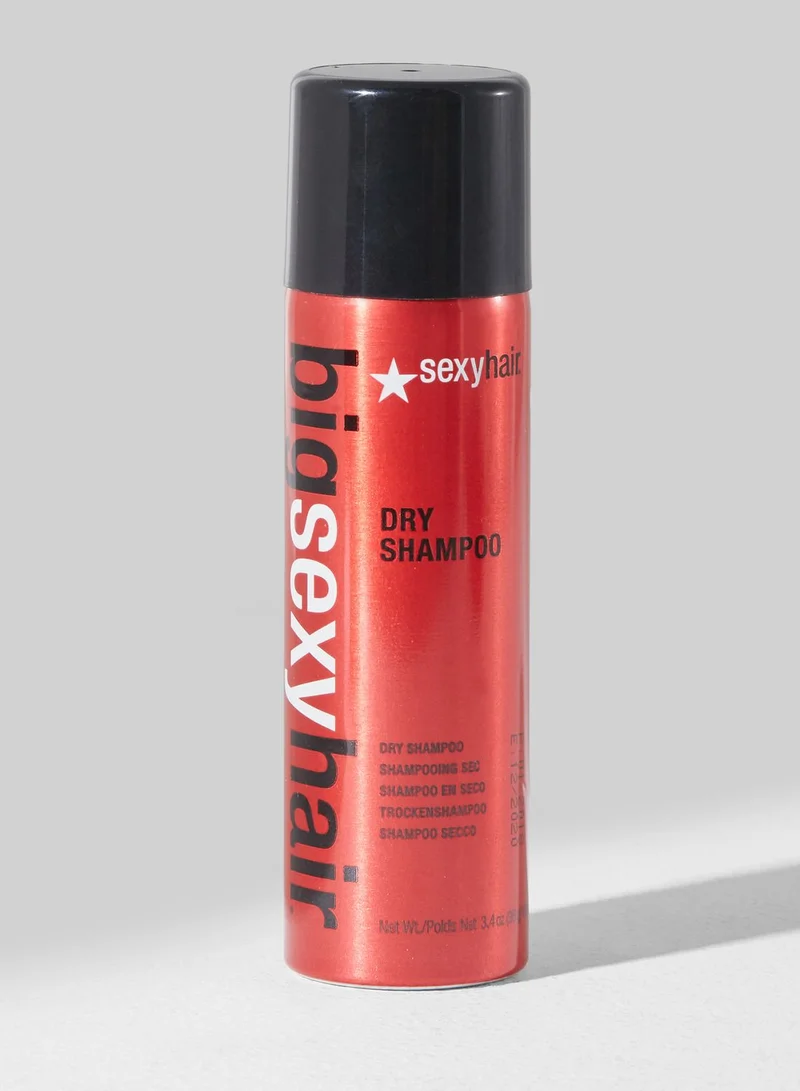 Sexy Hair Big SH Dry Shampoo