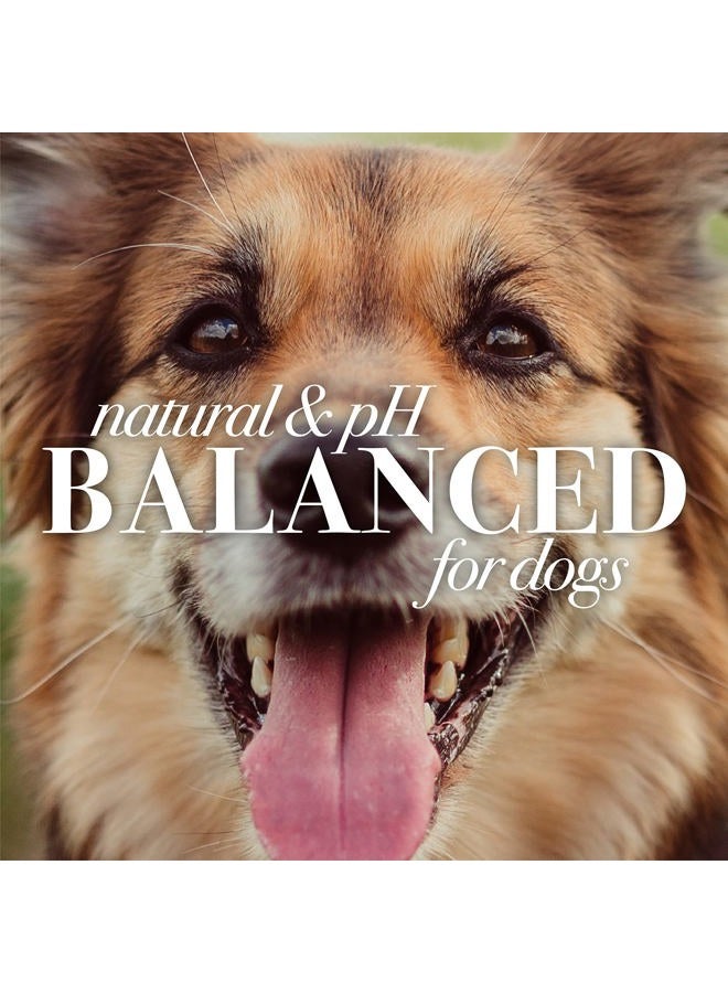 Burt's Bees for Pets Shed Control Shampoo for Dogs with Omega-3 and Vitamin E, 6pk, 99.7% Natural Origin Formulas, Dog Shampoo for Reducing Shedding - Deshedding Dog Shampoo, 6pk, 16 oz - Image 5