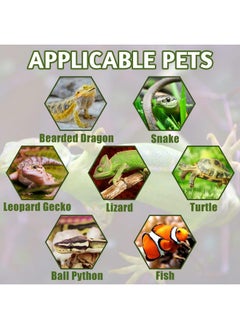 Kathson kathson Reptile Tank Decor Lizard Hide and Cave Plants Terrarium Decorations Resin Cactus Desert Aquarium Tank Habitat Accessories for Bearded Dragon Chameleon Leopard Gecko Snake Fish (Ball Cactus)  - Image 5