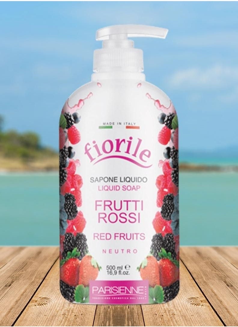 Hand and Body Wash With fruits 500 ml - pzsku/Z41BF660C77E1E6040947Z/45/_/1723446764/cff0a80e-38df-4daa-bf42-701855b44c69