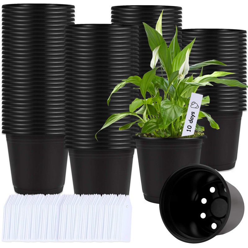 Augshy Augshy 110 Pcs 05 Gallon Black Plastic Plant Nursery Pots 6 Inches Seed Starting Pots Containers with 110 Labels 