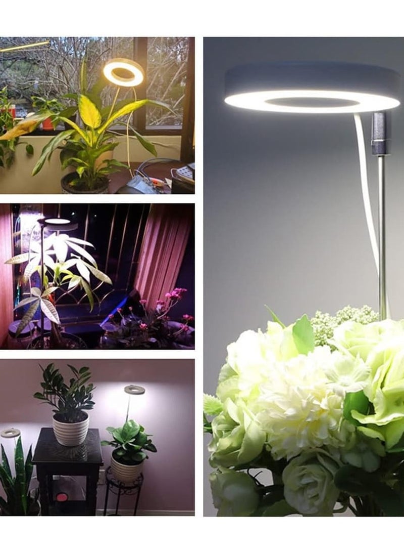 Gerenic 2PCS Grow Light with Full Spectrum, LED Plant Lights for Indoor Plants, Height Adjustable Growing Lamp, Dimmable Brightness Grow Lights, Ideal for Small Plants - Image 5