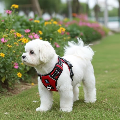 HANK Dog Harness | 3M Reflective Strap | Dog Body Vest for Medium Dogs | Soft Comfortable Padded | Anti Pull Harness for Walking, Training (Red - M (14-22Kg) - Image 3