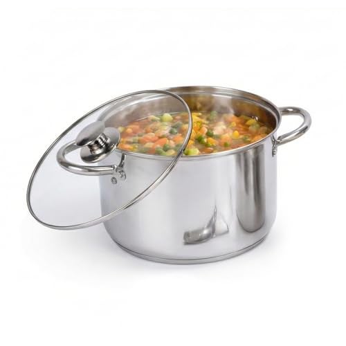 TOPSYTURVY Stainless Steel Induction Bottom Dutch Oven 20 cm 3.5 litres with Tempered Glass Lid | Saucepot for Cooking, Boiling, Curry, Pasta & Everyday Kitchen Use | Induction & Gas Stove Compatible - Image 1