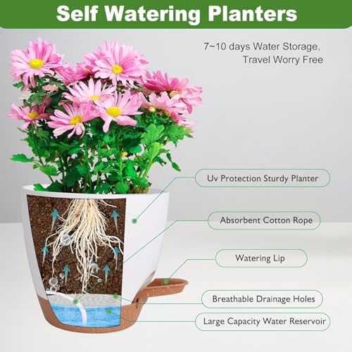 INKULTURE Flower Pot for Indoor Plants – Self Watering Plant Pot Set of 5, Multi Size Plastic Planter with Drainage Hole & Watering Lip (7/6.5/6/5.5/5 Inch) White | Pots for Home, Office & Succulents - Image 2