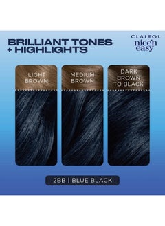 CLAIROL Nice'N Easy Permanent Hair Dye 2Bb Blue Black Hair Color Pack Of 1  - Image 5