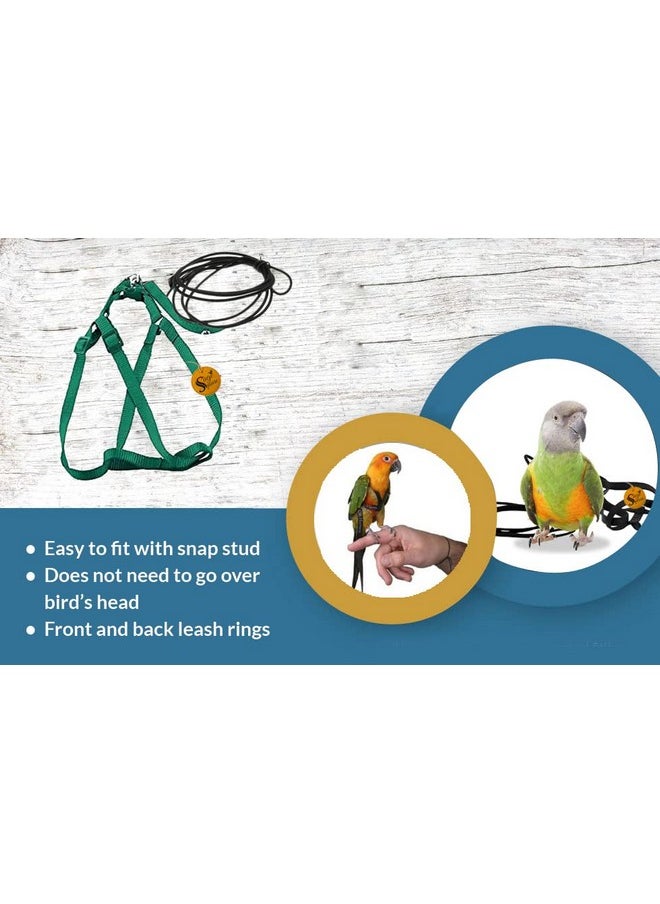 Sage Square - Bird Harness With Lease, Reusable Washable For Pet Provide Balance Skills, Attention, Exercise, Fun For Quakers, Senegals, Doves, Medium Parakeets, Rainbow Lorikeets (Random, Extra Small) - Image 1