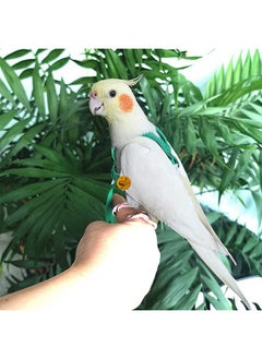 Sage Square Bird Harness With Lease, Reusable Washable For Pet Provide Balance Skills, Attention, Exercise, Fun For Quakers, Senegals, Doves, Medium Parakeets, Rainbow Lorikeets (Random, Extra Small)  - Image 4