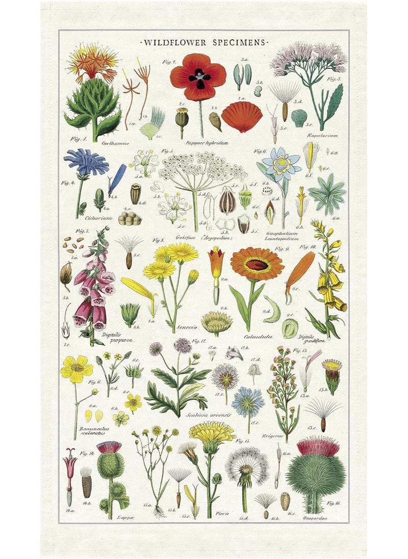 Cavallini & Co. Cavallini Papers & Co. Wildflowers Tea Towel, Multicolor  - Image 1