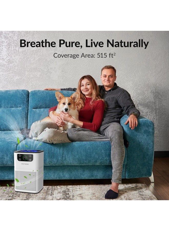 FETIONS Air Purifiers for Bedroom Home, FETIONS Air Cleaner with Fragrance Sponge Sleep Mode 3-in-1 Filtration System, Compact with H13 HEPA Filter for Pet Dander Pollen Smoke Dust Odor, White,1 Pack - Image 2
