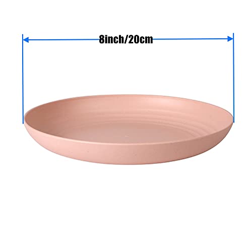 CAMBUY Wheat Straw Plates Lightweight Unbreakable Dinner Dishes Plates Set Dishwasher & Microwave Safe (Large 4 Pack 8') - Image 3