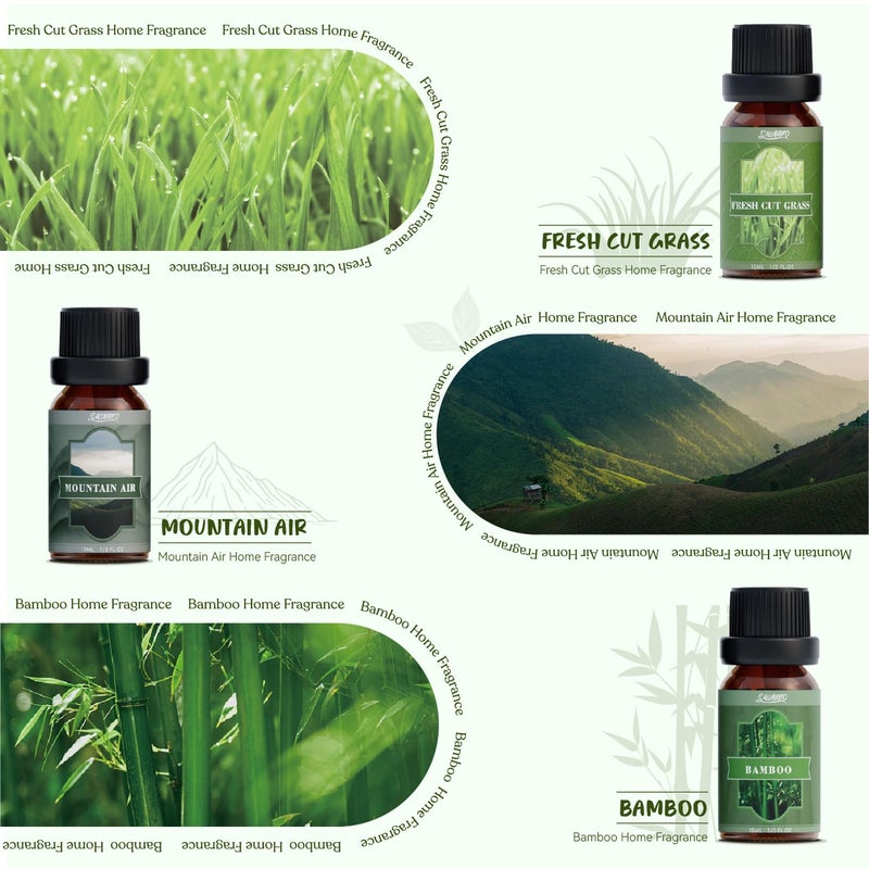 SALUBRITO Nature Fragrance Oils Set, Essential Oils Set - Forest Pine, Ocean Breeze, Rain, Fresh Cut Grass, Mountain Air, Bamboo, Premium Scented Oil for Diffuser, Candle, Soap Making - Image 4