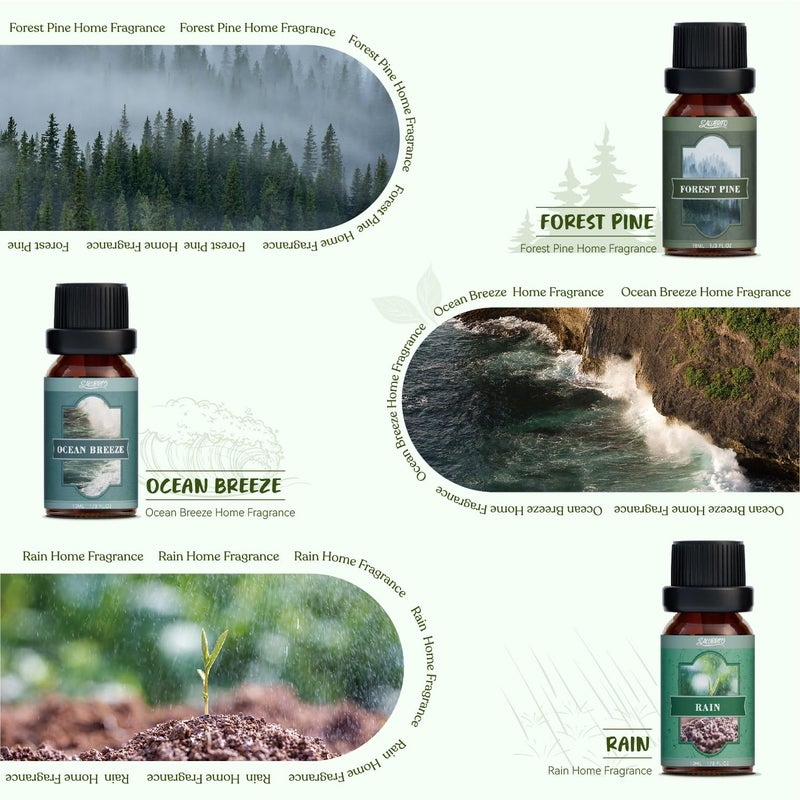 SALUBRITO Nature Fragrance Oils Set, Essential Oils Set - Forest Pine, Ocean Breeze, Rain, Fresh Cut Grass, Mountain Air, Bamboo, Premium Scented Oil for Diffuser, Candle, Soap Making - Image 3