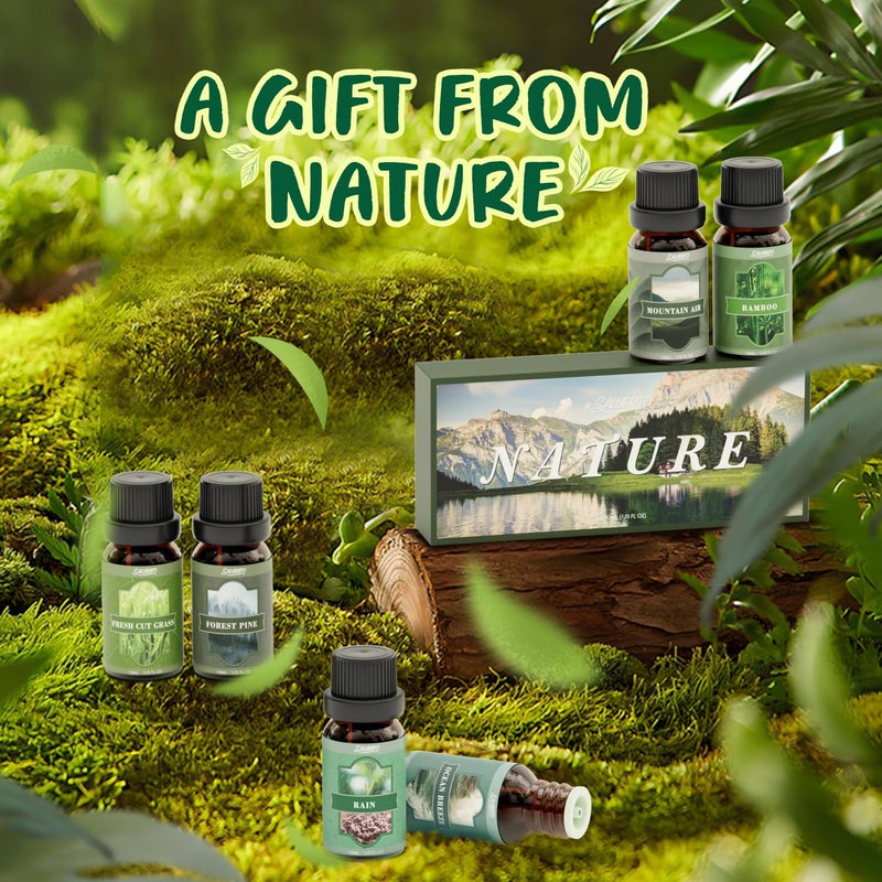 SALUBRITO Nature Fragrance Oils Set, Essential Oils Set - Forest Pine, Ocean Breeze, Rain, Fresh Cut Grass, Mountain Air, Bamboo, Premium Scented Oil for Diffuser, Candle, Soap Making - Image 2