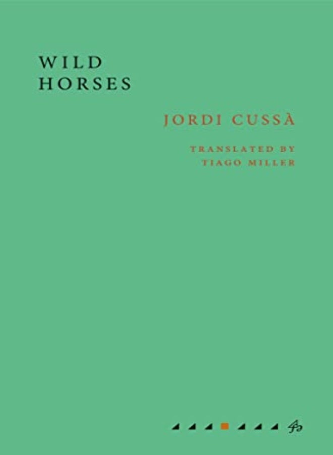WILD HORSES 
