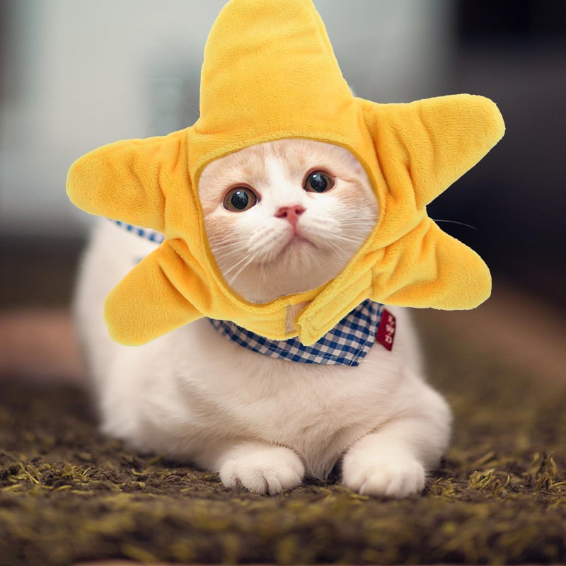 Creative Pet Sea Creature Hat Dog Cosplay Cap Small Size Party Puppy Accessory - Image 4