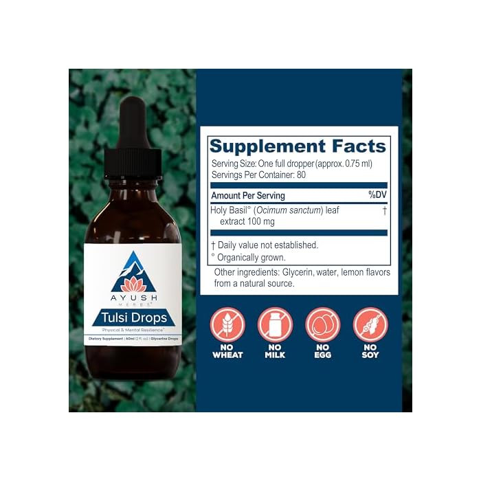 Ayush Herbs Tulsi Drops - Alcohol-Free Tulsi Drops, Holy Basil Gylcerite, Natural Immune-Support Drops for Kids & Adults, Calm & Focus Booster - 2 Fl Oz (80 Servings) - Image 3