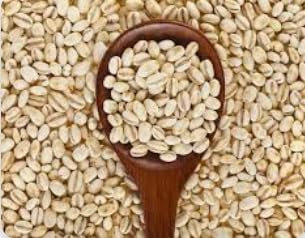Pmw - Jar Pack - Barley Grains - Jav - Cleaned - Hordeum Vulgare - 500 Grams - Image 4