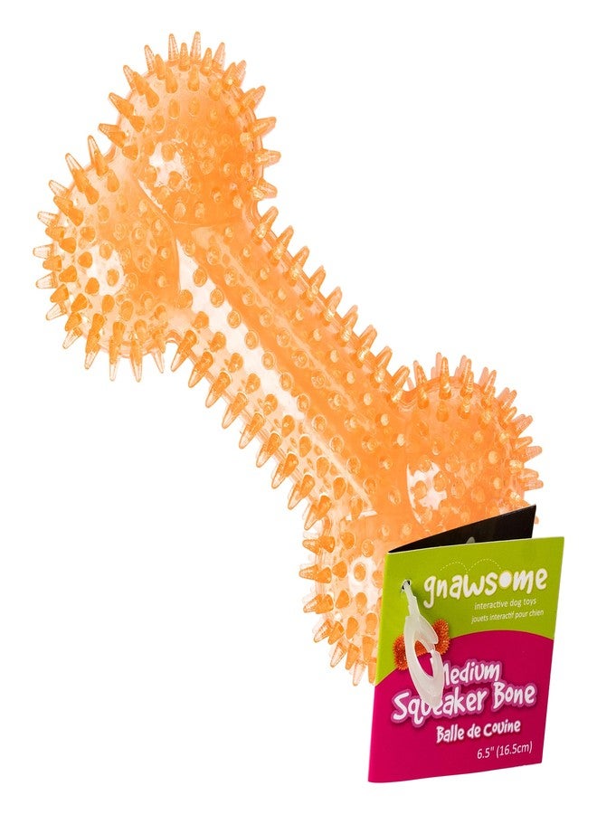Gnawsome Dog Toys - 6.5” Spiky Squeaker Bone - Medium - Dental & Gum Wellness - Stimulating Fun - Hidden Squeaker - Durable for Heavy Chewers - 100% BPA-Free - Assorted Colors - Image 1