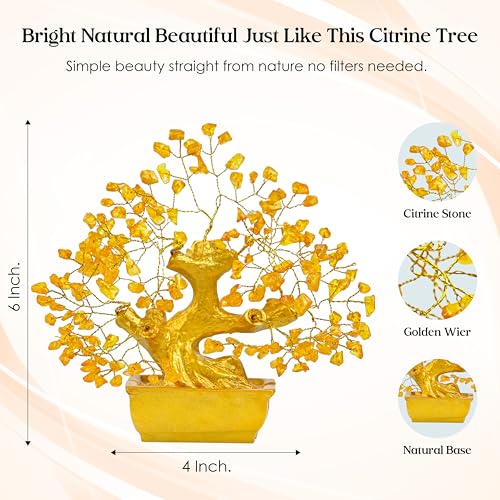 Crocon Lucky Feng Shui Citrine Tree of Life Bonsai – Gift for Women & Men | Showpiece for Home Decor Living Room | Positive Energy Items | Birthday Gift for Mother| Housewarming Gift - Image 3