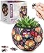PieceRelax 3D Puzzle Planter 80 Pieces Flower Pot Colorful Poppies for Mom Home Decor Flower Pots for Indoor Cactus Succulents Pots K1118 - Image 3