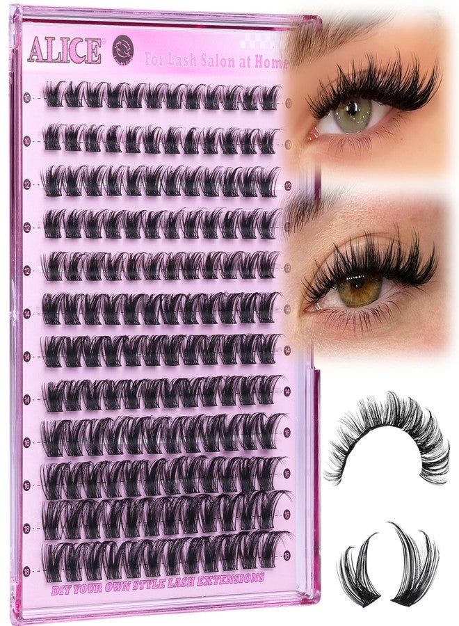 أليس مجموعة رموش ALICE Lash Clusters، مجموعة رموش خفيفة، وصلات رموش روسية كثيفة، وصلات رموش فردية، وصلات رموش طبيعية رفيعة، يمكنك تركيبها بنفسك في المنزل (144 قطعة/10-18 مم/D- مجعد) - Image 2