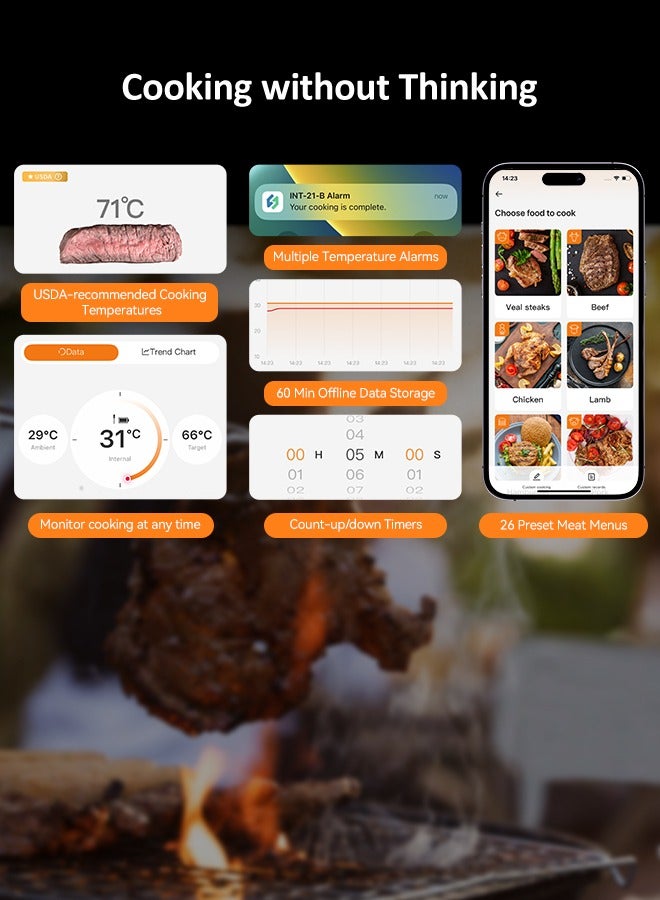 إنك بيرد مقياس حرارة INKBIRD اللاسلكي للشواء INT-21-B - مقياس حرارة لحم ببلوتوث 5.4 مع مجس 5 مم فائق النحافة، شاشة LCD عالية الدقة، تخزين بيانات دون اتصال لمدة 60 دقيقة، وإنذارات حرارة للشواء والطهي والخَبز  - Image 4