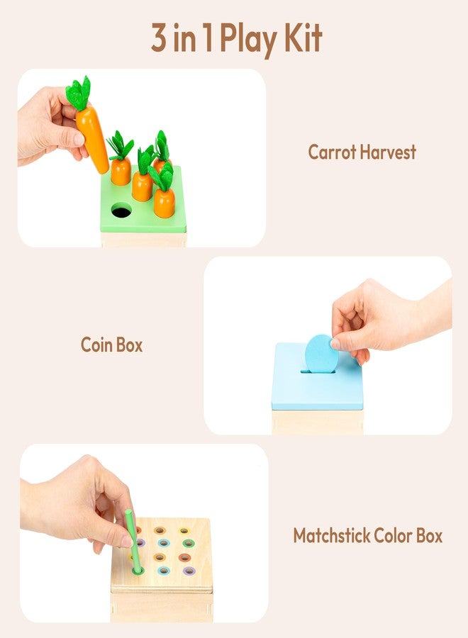 Woodtoe Montessori Toys for 1+ Year Old, Wooden Baby Learning Toys, Object Permanence Box, Color Sorting Sensory Toy, Fine Motor Skills Game, Educational Easter Toys for Boy Girl 1 2 3 Year Old - Image 3