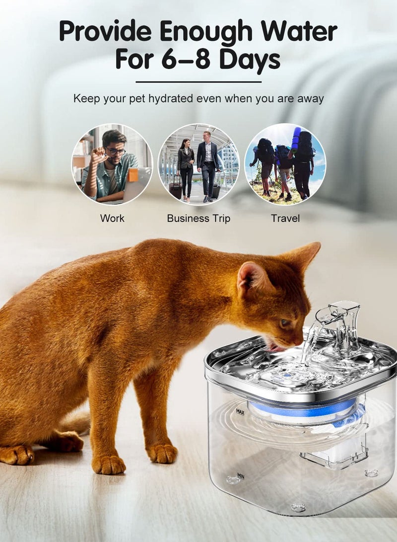 SOLARAE Stainless Steel Cat Water Dispenser 68oz/2L - Quiet Electric Pet Fountain with 3 Filters, Ideal for Cats and Puppies, Transparent Design for Clean Drinking Water. - Image 3