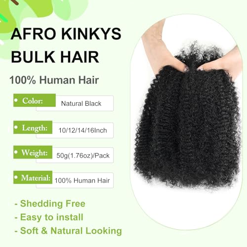 poetically 16 Inch Afro Kinky Curly Human Hair Afro Kinkys Bulk Human Hair 2 Bundles 100Packs Kinky Twist Hair Curly Hair Extensions for Dreadlocks Loc RepairTwists - Image 3