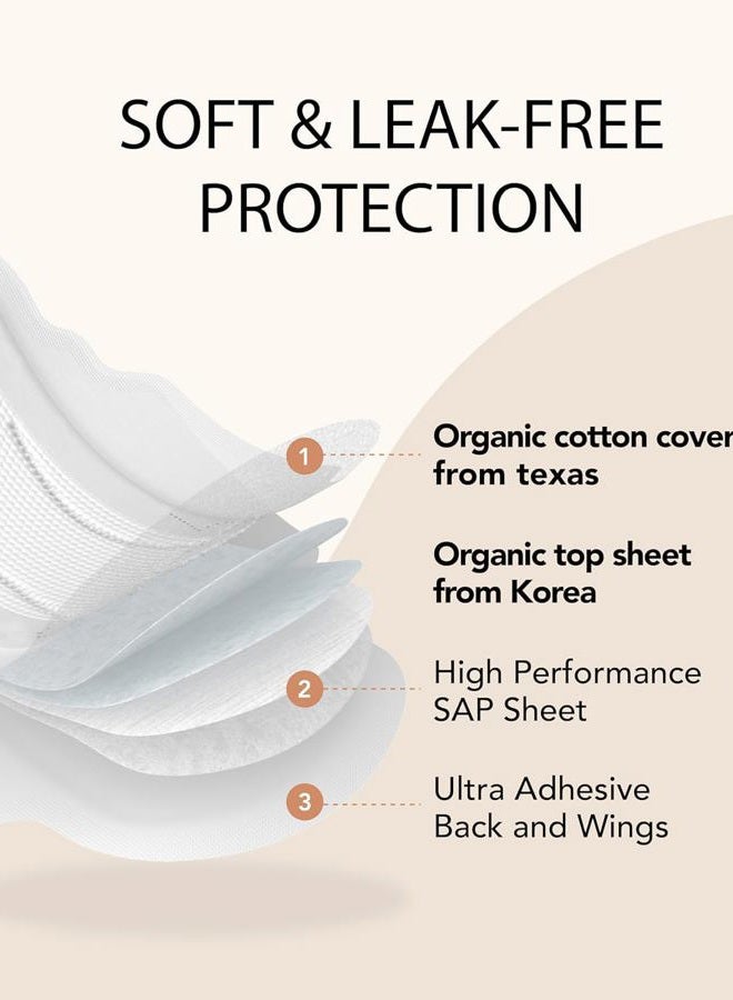 OCBON Sanitary Pad Regular (Pack of 2) - Image 3