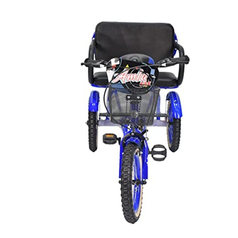 Tricycle with Inner Seat Blue 14-Inch Size Medium TB608-14B - Image 4