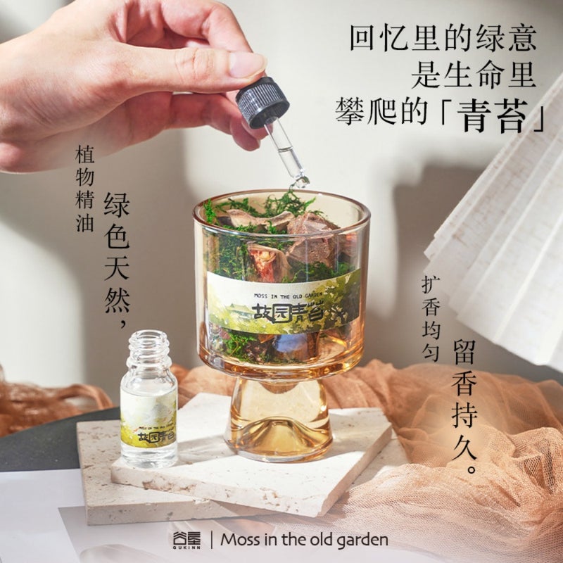 Hometown moss aromatherapy decoration pine aromatherapy essential oil without fire aromatherapy gift box creative high-end feeling accompanying gift - Image 2