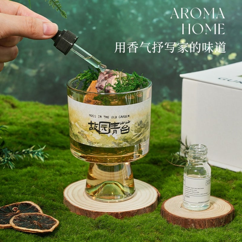 Hometown moss aromatherapy decoration pine aromatherapy essential oil without fire aromatherapy gift box creative high-end feeling accompanying gift - Image 1